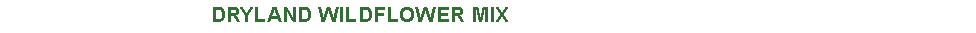 Text Box:                                DRYLAND WILDFLOWER MIX   